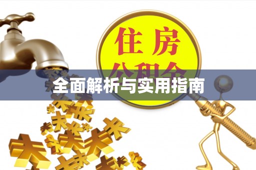 板芙全面解析与实用指南
