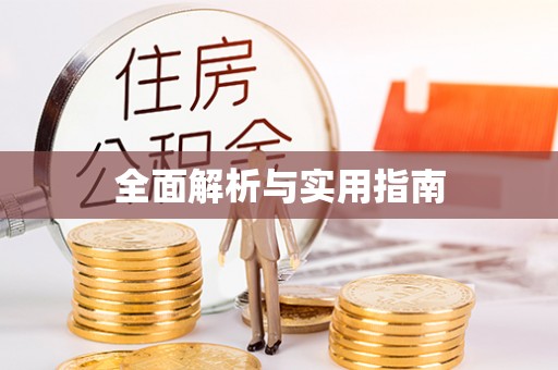 板芙全面解析与实用指南