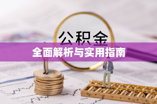 板芙全面解析与实用指南